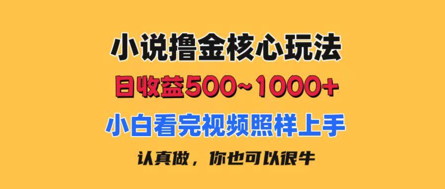 小说撸金核心玩法，日收益500-1000+，小白看完照样上手，0成本有手就行-泡泡网赚