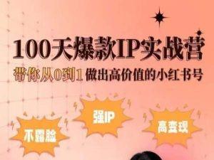小红书100天爆款IP实战营，带你从0到1做出高价值的小红书号-泡泡网赚