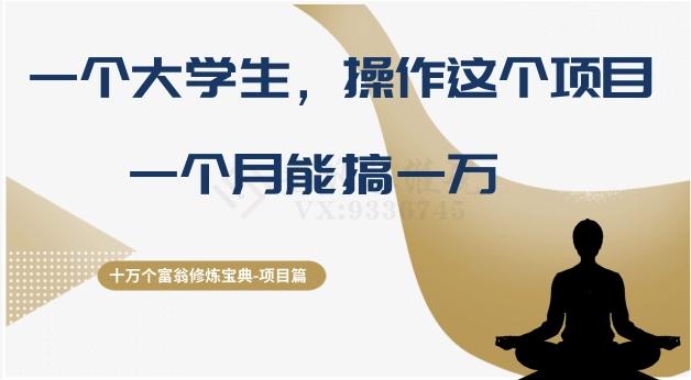 十万个富翁修炼宝典之4.一个大学生操作这个项目，一个月能搞一万-泡泡网赚