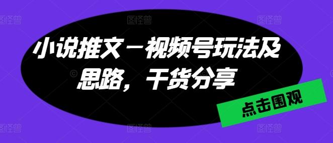 小说推文—视频号玩法及思路，干货分享-泡泡网赚