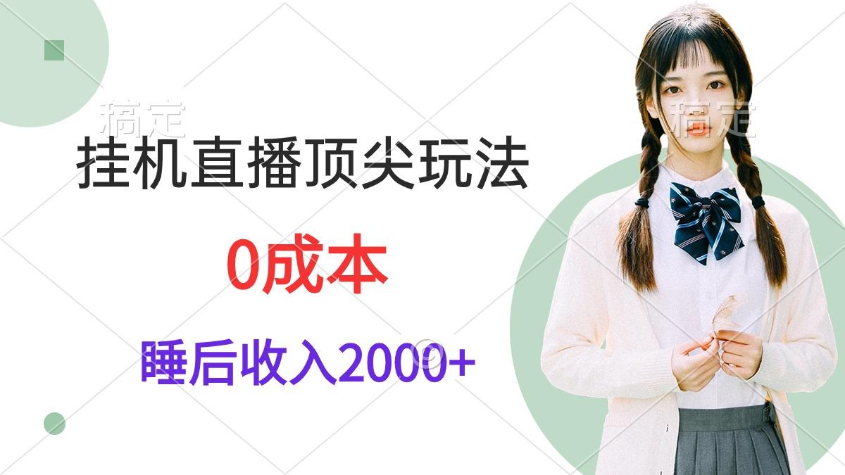 (9715期)挂机直播顶尖玩法，睡后日收入2000+、0成本，视频教学-泡泡网赚
