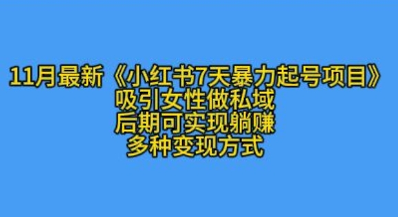 K总部落11月最新小红书7天暴力起号项目，吸引女性做私域【揭秘】-泡泡网赚