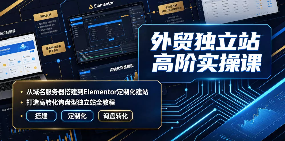外贸独立站高阶实操课｜从域名服务器搭建到Elementor定制化建站，打造高转化询盘型独立站全教程-泡泡网赚