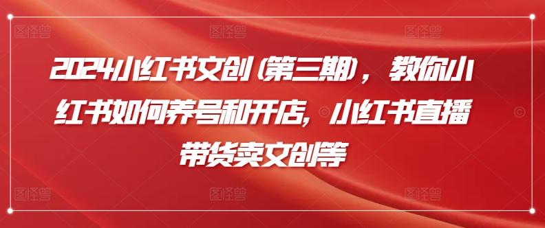2024小红书文创(第三期)，教你小红书如何养号和开店，小红书直播带货卖文创等-泡泡网赚