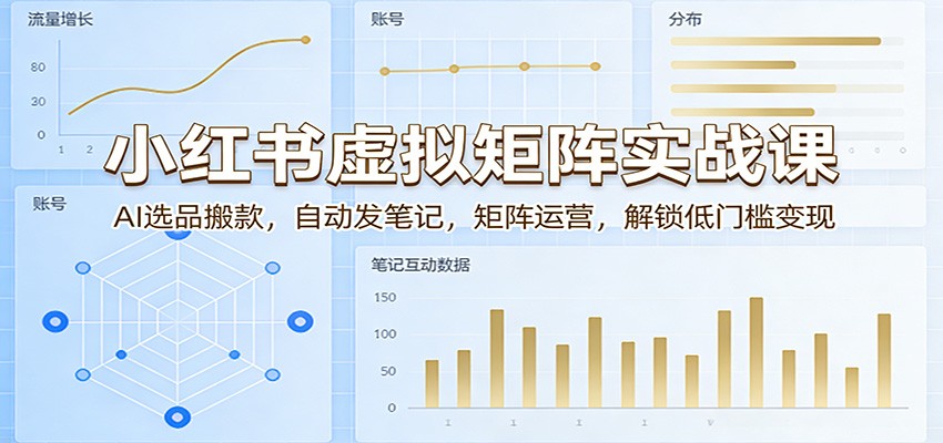 小红书虚拟矩阵实战课：AI选品搬款，自动发笔记，矩阵运营，解锁低门槛变现-泡泡网赚