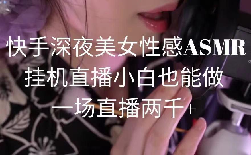 快手深夜美女性感ASMR挂机直播，小白也能做，一场直播两千+-泡泡网赚