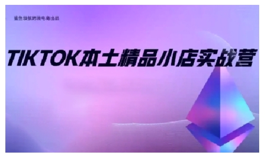 TikTok本土精品小店出海实战营，从入门到高阶，不止0-1!-泡泡网赚