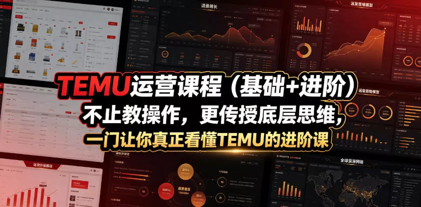 TEMU运营课程(基础+进阶)，不止教操作，更传授底层思维，一门让你真正看懂TEMU的进阶课-泡泡网赚