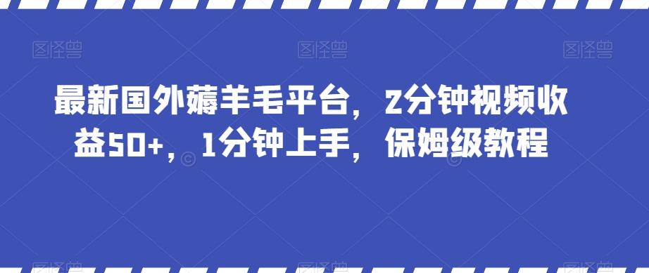 最新国外薅羊毛平台，2分钟视频收益50+，1分钟上手，保姆级教程【揭秘】-泡泡网赚
