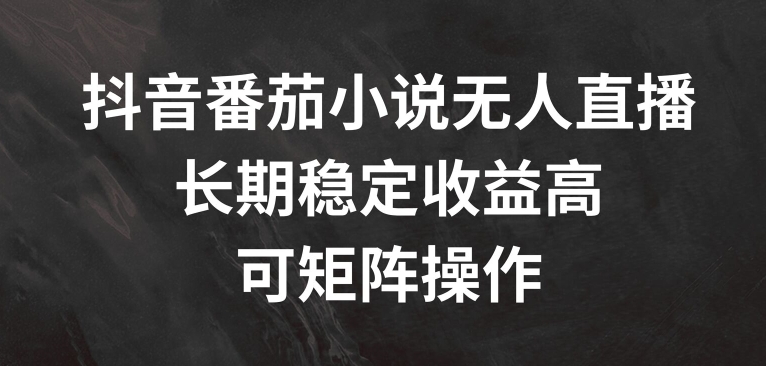 抖音番茄小说无人直播，长期稳定收益高，可矩阵操作【揭秘】-泡泡网赚