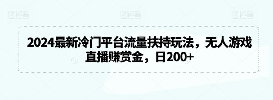 2024最新冷门平台流量扶持玩法，无人游戏直播赚赏金，日200+【揭秘】-泡泡网赚