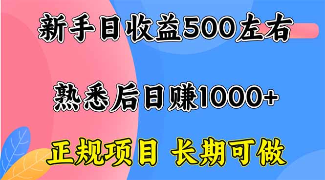 新手日收益500+ 正规项目 长期可做-泡泡网赚