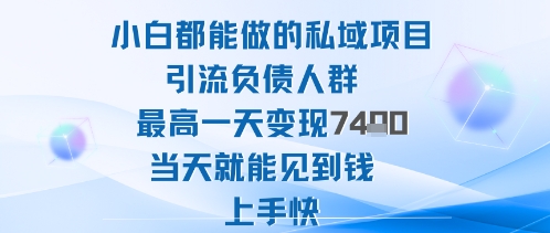 2025年小白都能做的私域项目引流负债人群最高一天变现1k+高变现难度低当天就能见到钱上手快-泡泡网赚