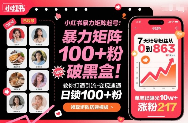 小红书暴力矩阵起号，教你打通引流-变现速通，日锁100+粉，破流量黑盒-泡泡网赚