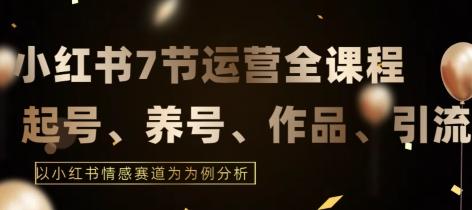 7节小红书运营实战全教程，结合最新情感赛道，打通小红书运营全流程【揭秘】-泡泡网赚
