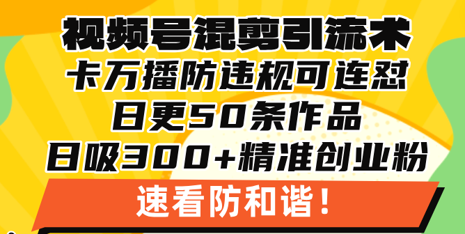 视频号混剪引流技术，500万播放引流17000创业粉，操作简单当天学会-泡泡网赚
