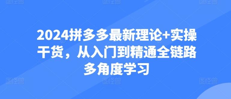 2024拼多多最新理论+实操干货，从入门到精通全链路多角度学习-泡泡网赚