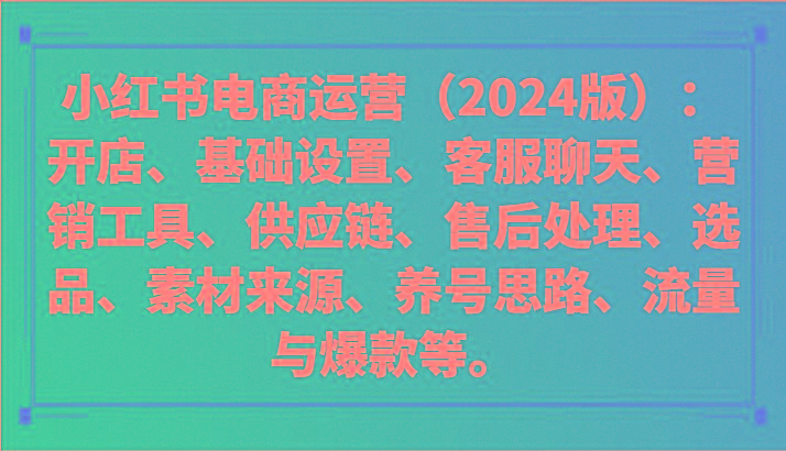 小红书电商运营(2024版)：开店、设置、供应链、选品、素材、养号、流量与爆款等-泡泡网赚