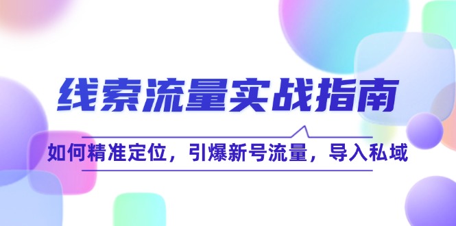 线 索 流 量-实战指南：如何精准定位，引爆新号流量，导入私域-泡泡网赚