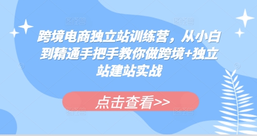 跨境电商独立站训练营，从小白到精通手把手教你做跨境+独立站建站实战-泡泡网赚