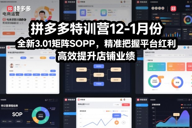 拼多多特训营12-1月份，全新3.01矩阵Sop，精准把握平台红利，高效提升店铺业绩-泡泡网赚