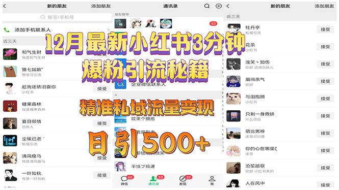12月最新小红书3分钟爆粉引流秘籍 精准私域流量变现 日引500+-泡泡网赚