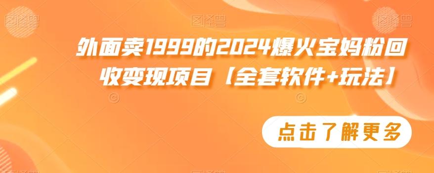 外面卖1999的2024爆火宝妈粉回收变现项目【全套软件+玩法】【揭秘】-泡泡网赚