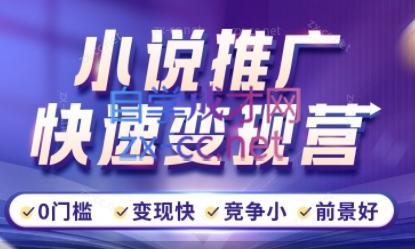 洲洲老师·小说推广快速变现营-泡泡网赚