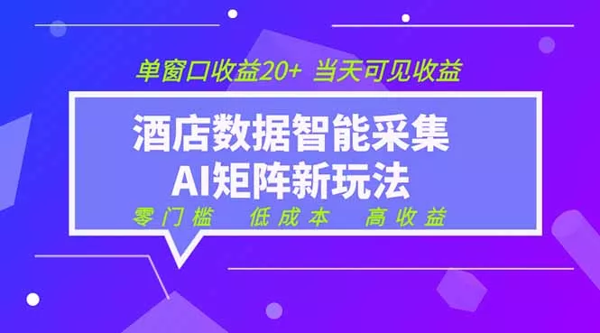 2026酒店数据采集ai智能矩阵新风口 低成本 高收益 当天见收益 单窗口20+-泡泡网赚
