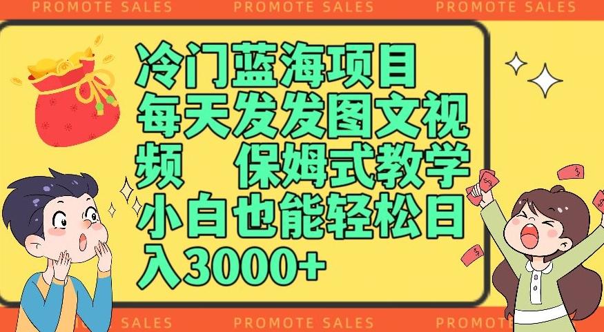 冷门蓝海项目，每天发发图文视频，保姆式教学，小白也能轻松日入3000+-泡泡网赚