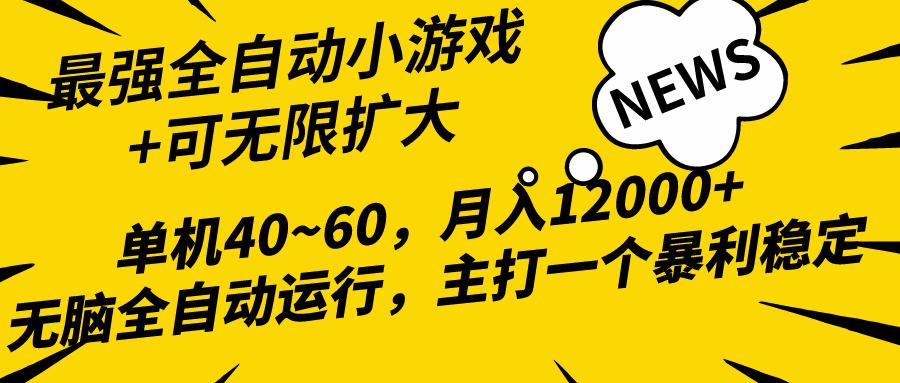 (10046期)2024最新全网独家小游戏全自动，单机40~60,稳定躺赚，小白都能月入过万-泡泡网赚