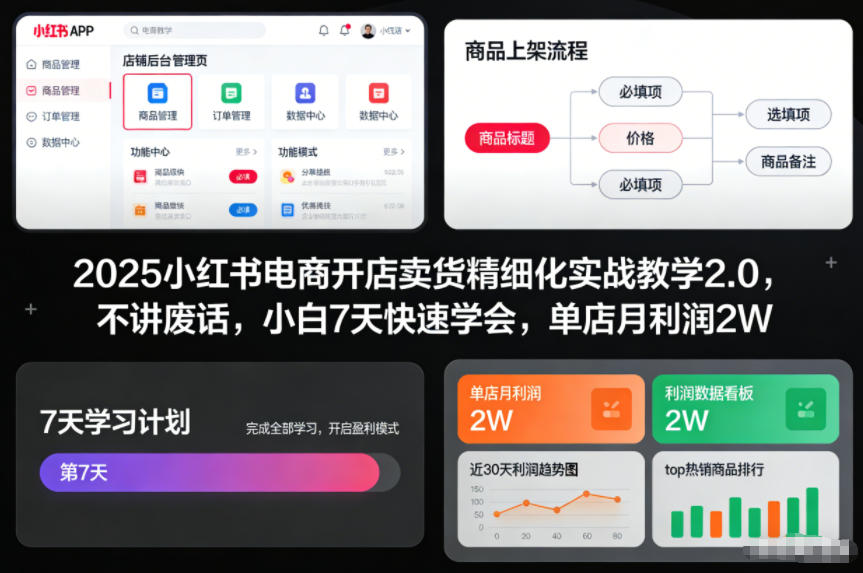 2025小红书电商开店卖货精细化实战教学2.0，不讲废话，小白7天快速学会，单店月利润2W-泡泡网赚
