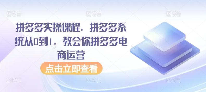 拼多多实操课程，拼多多系统从0到1，教会你拼多多电商运营-泡泡网赚