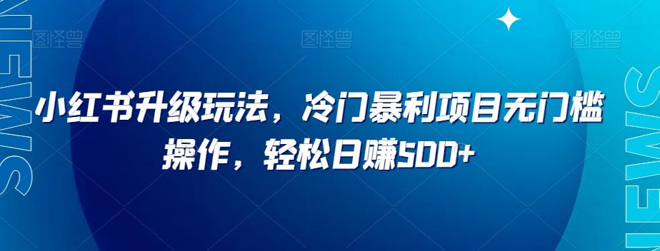 小红书升级玩法，冷门暴利项目无门槛操作，轻松日赚500+【揭秘】-泡泡网赚