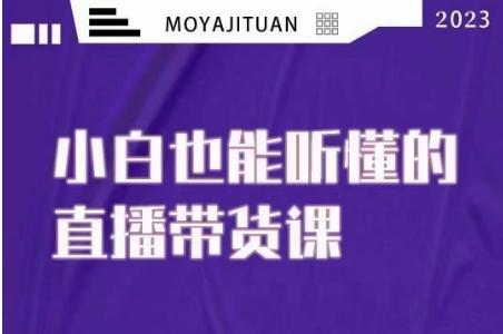 大威本威·能听懂的直播带货课，小白也能听懂，20节完整-泡泡网赚