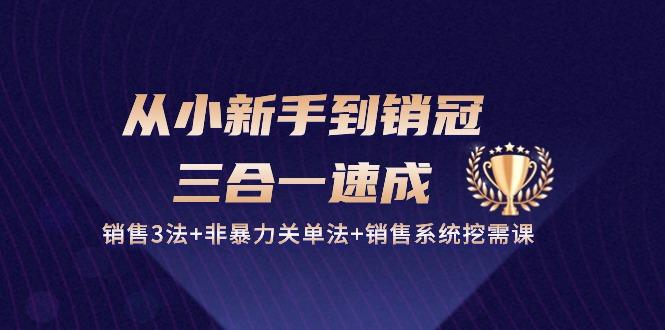 从小新手到销冠 三合一速成：销售3法+非暴力关单法+销售系统挖需课 (27节-泡泡网赚