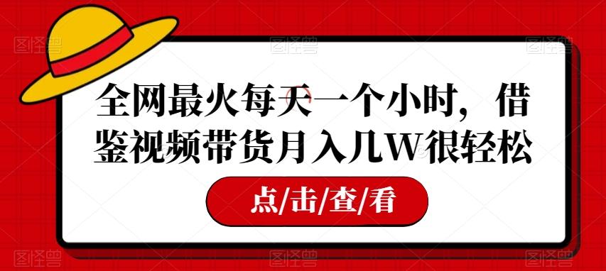 全网最火每天一个小时，借鉴视频带货月入几W很轻松【揭秘】-泡泡网赚