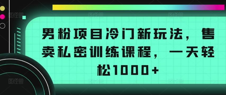 男粉项目冷门新玩法，售卖私密训练课程，一天轻松1000+【揭秘】-泡泡网赚