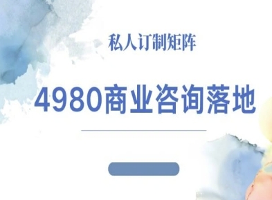 4980商业咨询师落地课程-ip运营高客单教程-泡泡网赚