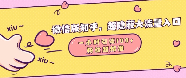 微信版知乎，超隐蔽流量入口1小时引流100人，粉丝质量超高【揭秘】-泡泡网赚