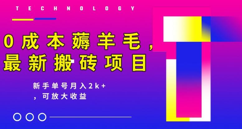 0成本薅羊毛，最新搬砖项目，新手单号月入2k+，可放大操作-泡泡网赚