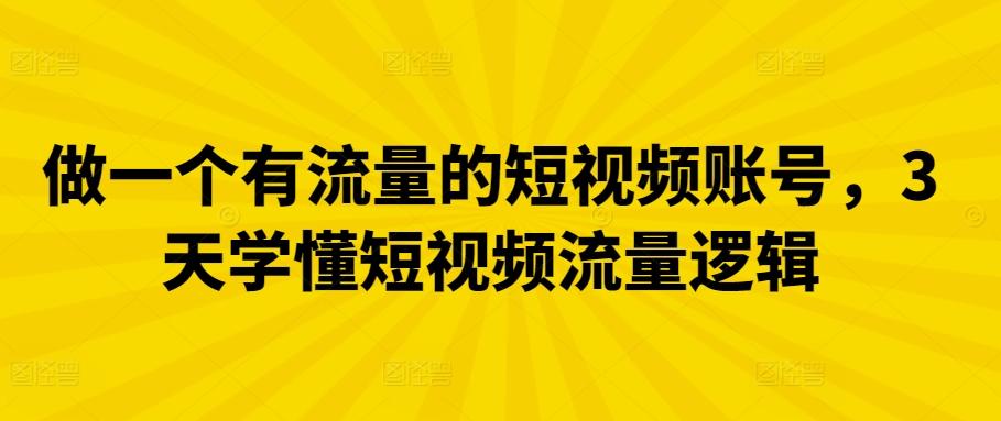 做一个有流量的短视频账号，3天学懂短视频流量逻辑-泡泡网赚