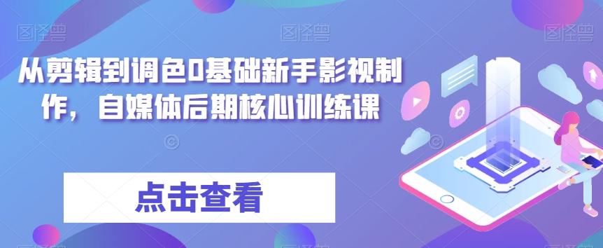 从剪辑到调色0基础新手影视制作，自媒体后期核心训练课-泡泡网赚