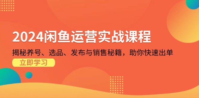 2024闲鱼运营实战课程：揭秘养号、选品、发布与销售秘籍，助你快速出单-泡泡网赚