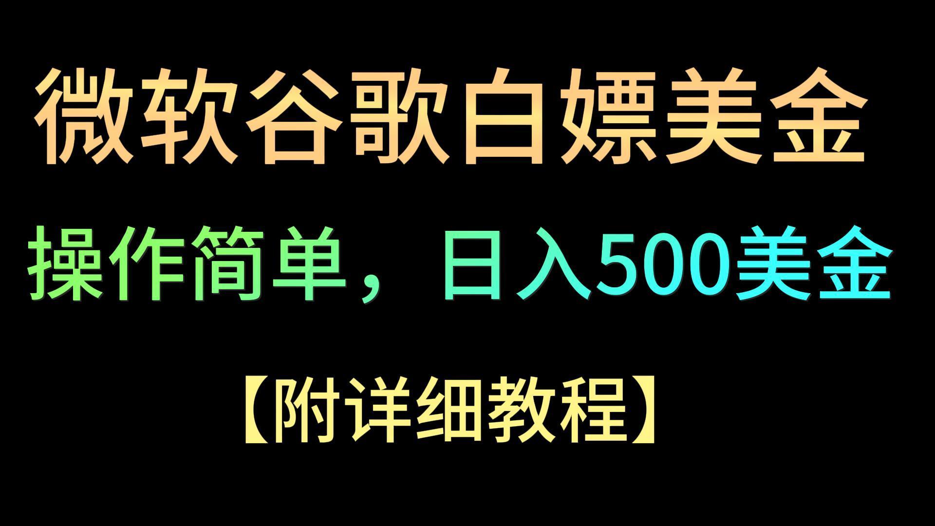 微软谷歌项目3.0，轻松日赚500+美金，操作简单，小白也可轻松入手！-泡泡网赚