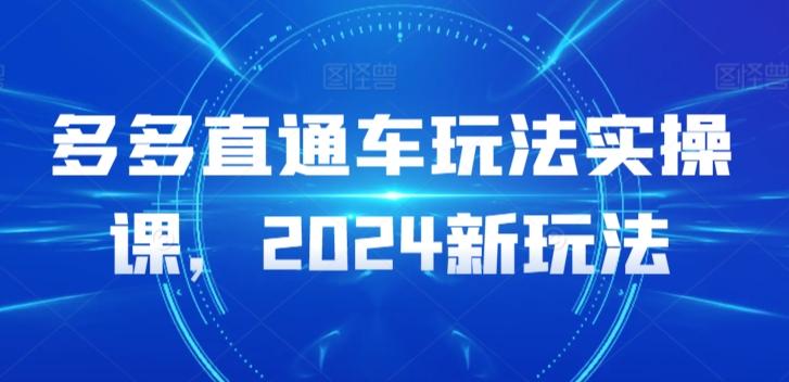 多多直通车玩法实操课，2024新玩法-泡泡网赚