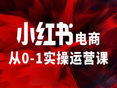 小红书电商从0-1实操运营课，让你从小白到精英-泡泡网赚