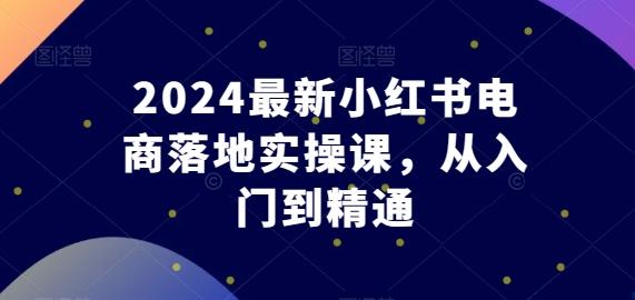 2024最新小红书电商落地实操课，从入门到精通-泡泡网赚