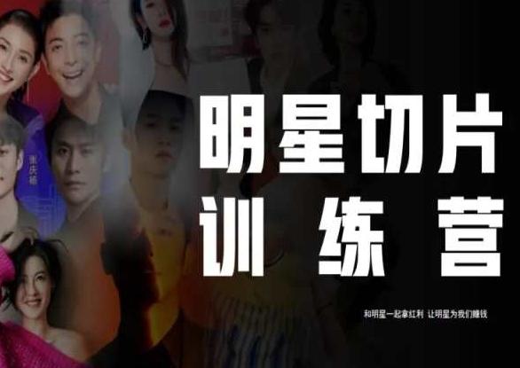 王子·明星切片线上训练营（2023），和明星一起拿红利，让明星为我们赚钱-泡泡网赚
