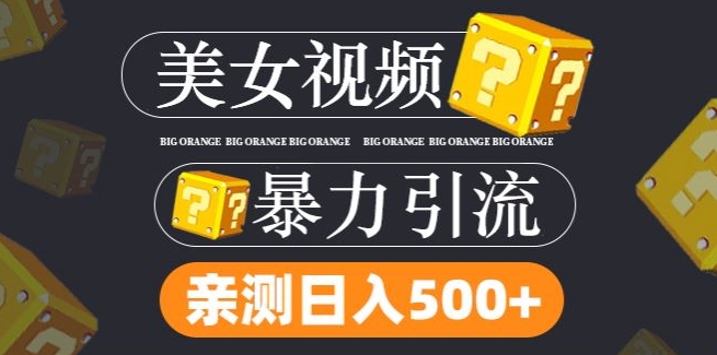 搬运tk美女视频全网分发，日引s粉300+，轻松变现，不限流量不封号【揭秘】-泡泡网赚